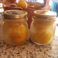 il Erica Barbero quando ha preparato Limoni sotto sale