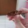 Cooksnap dari Olifia untuk resep CHOCOLATE Butter Cookies