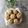 Cooksnap dari Bunda Ei untuk resep Muffin Apel Dengan Strussel (Tanpa Mixer)