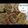 Deepti Kiran Patil's cooksnap of when they made सात्विक अळूवडी (aluvadi recipe in marathi).