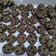 Cooksnap dari Leni Kristina untuk resep Chocochips cookies ala Good Time