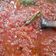 El cooksnap de Alejandra Larrea cuando hizo Salsa fileto fácil.