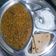 Rinku Rathod's cooksnap of when they made મગ ભાત (Moong Rice Recipe In Gujarati.