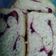 Cooksnap dari Fahima Ayasya untuk resep Roti Tawar _Sari Roti homemade🍞🍞🍞