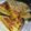 Chef Nitra's cooksnap of when they made Quesadillas.