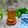 Cooksnap dari Widjie Astuti untuk resep Mint simple syrup