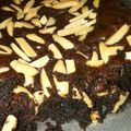 Cooksnap dari Laraslovesbaking untuk resep Brownies klasik
