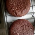 El cooksnap de Jose Luis Martinez cuando hizo Torta o bizcochuelo en sartén de chocolate.
