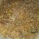 Cooksnap dari Whosy Whoreary untuk resep Beef teriyaki ala yosinoya
