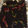 mcbridek5's cooksnap of when they made Oreo Dirt Pudding.
