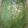Khalida Misbah's cooksnap of when they made Green chutney.