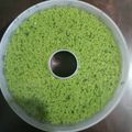Cooksnap dari Erli Kurniawati untuk resep Puding Lumut “pandan asli”