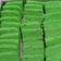 Cooksnap dari Komang Daniel untuk resep Bolu Pandan Kukus (2 Telur)