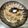 Falguni Shah's cooksnap of when they made વેજ ઉપમા (Veg Upma Recipe In Gujarati).