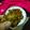 Asma Akter Tuli's cooksnap of when they made লাউ আলুর খোসার পকোড়া (lau aalu r khosar pakoda recipe in bengali ).
