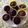 il CookFra quando ha preparato Muffin cioccolatosi