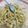 Cooksnap dari Dian Saufitri untuk resep Fettuccine carbonara (tuna)