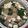 Cooksnap dari adjeng_mw untuk resep Sayur Sawi Tahu Bakso