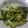 El cooksnap de Kriss cuando hizo Aguacate a mi manera.