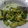 El cooksnap de Kriss cuando hizo Aguacate a mi manera.