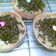 Cooksnap dari Veronica Tanti untuk resep Martabak Mini special