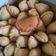 Cooksnap dari Ratna untuk resep Panada (modifikasi killer soft bread)
