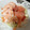 El cooksnap de Virginia. cuando hizo Ensalada veraniega.