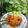 Cooksnap dari Dapoer Sarie untuk resep Lobster Saus Padang