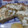 El cooksnap de Cecil Ortiz cuando hizo Masa de tarta integral con semillas.
