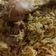 Sayyed Tarannum का कुकस्नैप जब उन्होंने चिकन पुलाव (Chicken Pulao Recipe in Hindi) बनाया था।