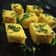 Dipti Patel's cooksnap of when they made ખમણ (Khaman Recipe In Gujarati).