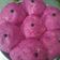Cooksnap dari Ijur Ch untuk resep Donat buah naga maizena