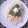 El cooksnap de Carla Moya 🌹 cuando hizo Salsa pesto a la genovese 🌱☀️ (Pesto de albahaca).