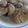 El cooksnap de beatrizcuycoll cuando hizo Pollo jugoso al ajillo.