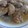 El cooksnap de beatrizcuycoll cuando hizo Pollo jugoso al ajillo.