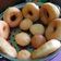 Cooksnap dari Dapur Mamika (Mami Tika) untuk resep Donat empuk dan montok anti gagal