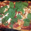 mummybearmonty's cooksnap of when they made Basic Pizza Dough Non Yeast.