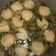 Cooksnap dari Umy Alif untuk resep Kuah bakso simpel