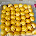Cooksnap dari Dwi Adi Purwati untuk resep Nastar Lumer 1kg