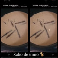 El cooksnap de Pía Romero cuando hizo Cola de Mono chileno 🐒 (con leche condensada).