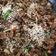 Cooksnap dari Imeliana Gunardi untuk resep Beef Teriyaki