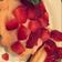 صورة من bushra 🌷، شاركها بعد تجربة وصفة تارت الفريز
