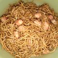 Cooksnap dari Umma dandil untuk resep Mie Goreng Spesial