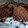 El cooksnap de montsecf70 cuando hizo Bizcocho en el microondas.