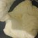 Cooksnap dari Lely untuk resep Mozzarella homemade (KW)