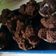 Cooksnap dari Elsa Destian untuk resep Bolu Kukus Coklat Mekar (#Pr_EgglessCake)