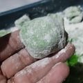 Cooksnap dari Wakhidatun Alfath untuk resep Mochi