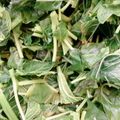 Rukayyah Adam Abdullahi (Rayah)'s cooksnap of when they made How to bleach vegetable.