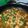 Cooksnap dari Mona Firdaus untuk resep Ayam sawi kuah mie ayam