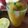 Rafiqua Shama's cooksnap of when they made Aam Panna Concentrate And Drink.